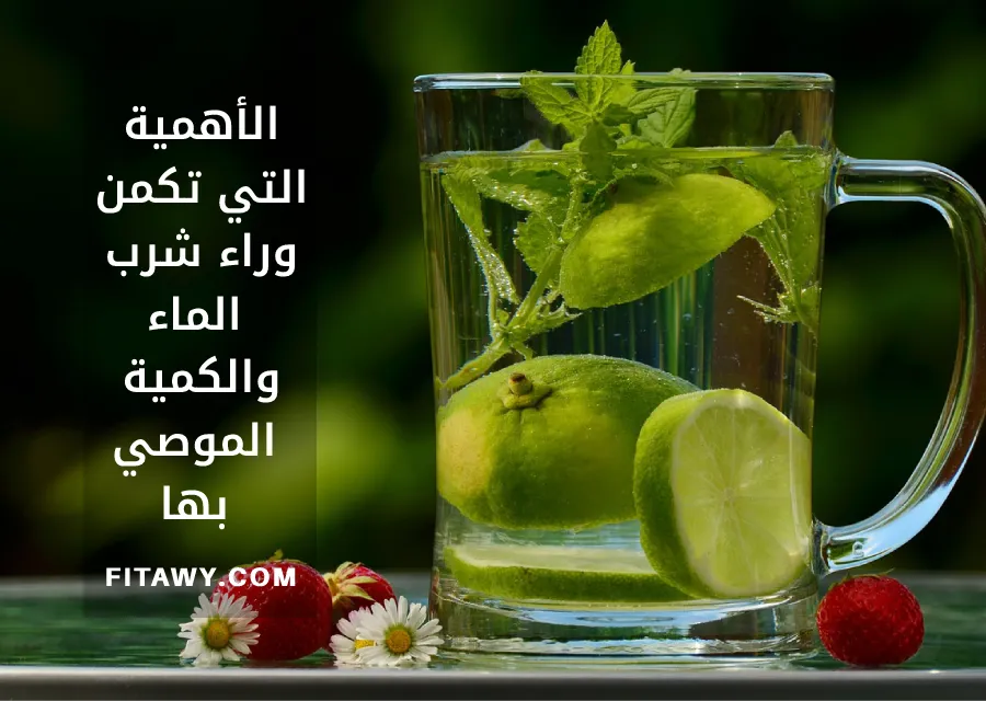 الأهمية التي تكمن وراء شرب الماء والكمية الموصي بها